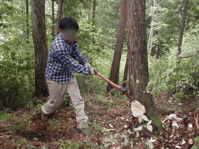 「開拓初期」「地黄(ニコニコ山)」「作業」「野外活動」