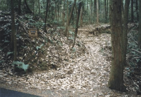 「開拓初期」「地黄(ニコニコ山)」「作業」「野外活動」